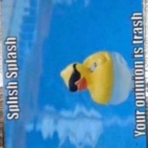 Meet your Posher, Katelynn